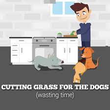 We did not find results for: I Animated Some Romanian Idioms So You Can See How Strange We Are Bored Panda