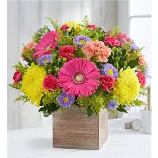 We did not find results for: 1 800 Flowers Mesa Local Mesa Az Flower Shop Fresh Flower Delivery