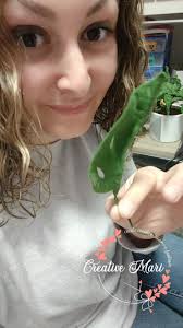 MARISOL SIMON (marisols1476) — Perfil