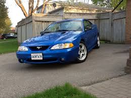 Image result for Balboa Blue 1998 CIL
