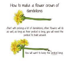 Magdorf A How To Make Flower Crowns With Dandelions Not Flower Crown Dandelion Flower Making
