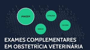 É o momento de preparo para o parto e amamentação. Exames Complementares Em Obstetricia By Giorgio Tomaselli