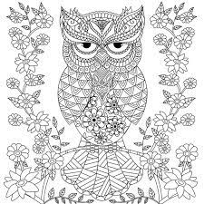 Owl coloring pages, art colors for beginners, draw owl with flower coloring bookhi friends, in this video you will learn how to color.* follow art. Owl Coloring Pages For Adults Free Detailed Owl Coloring Pages