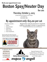 Spaying helps prevent uterine infection and breast cancer, which is fatal in about 50 percent of dogs and 90 percent of cats. Boston Spay Neuter Day On October 3 Animal Rescue League Of Boston