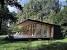 Forest Cabin Interior