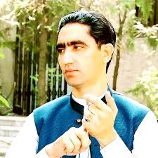 پښتو شاعری، غزلونه، پښتو ناولونه او ادبي ليکني