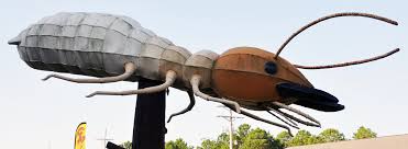 Doing business as:mckenzie pest control. Insect Statues Roadsidearchitecture Com