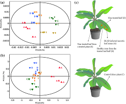 We'll give you the information to make an informed buying decision whether you're replacing existing fixtures or adding new ones. Phenylphenalenones Protect Banana Plants From Infection By Mycosphaerella Fijiensis And Are Deactivated By Metabolic Conversion Hidalgo 2016 Plant Cell Amp Environment Wiley Online Library