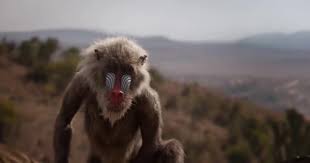 RÃ©sultat de recherche d'images pour "le roi lion 2019"