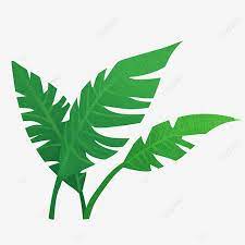  Gambar Daun Daun Ilustrasi Kartun Daun Hijau Ilustrasi Kartun Ilustrasi Tanaman Hijau Png Transparan Clipart Dan File Psd Untuk Unduh Gratis Tanaman Hijau Daun Daun Tanaman