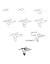 Realistic Step By Step Sketches Animal Drawing