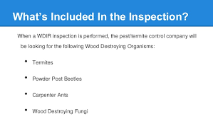 It is important not to stretch your budget. Are Termite Letters Required In Georgia
