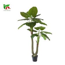 La oreja de elefante (colocasia) es una planta tropical que alcanza hasta 3 m (9 pies) de altura y produce hojas grandes en forma de flecha, similares a las orejas de un elefante. Vivo Personalizado Falso Planta Para Las Plantas Artificiales Oreja De Elefante Arbol De Taro Verde Buy Planta De Taro De La Suerte Del Oido Del Elefante Artificial Para El Hogar Planta Artificial