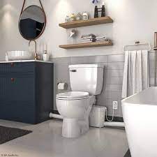 One solution is to build up the basement floor, creating a false floor within which the new drainpipe will run. How Much Does It Cost To Add A Bathroom Saniflo Depot Upflush Toilets