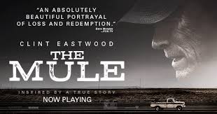 This is an ownership/mgmt issue reflected in who they hire. Film Review The Mule 2018 Moviebabble