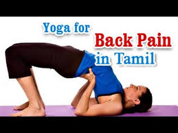 Yoga For Back Pain Sciatica Pain And Flexibility In Tamil Video Dailymotion