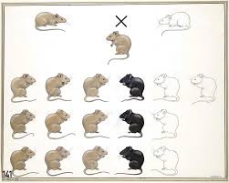 Wild Type Allele An Allele Whose Frequency Is Greater Than 1 Use Mutant Allele Allele With Freq Antique Botanical Print Science Diagrams Antique Images
