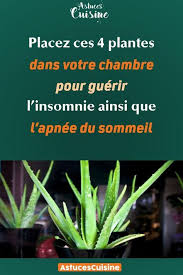 Pin On Sante