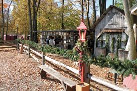 Old Fashioned Christmas In The Woods Youngstown Live