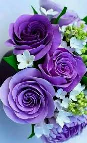 Epingle Par Mann Sur Enchanting Roses Rose Violette Fleurs Mauves Idees De Jardin Fleur