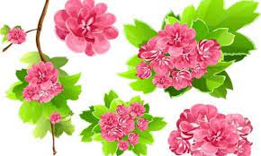 Beautiful cotton bud with bangles mehndi simple tutorial design easy hand mehndi. 12 Pilihan Corak Bunga Yang Cantik Untuk Aktiviti Kreatif Anda Voize