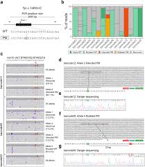 Mutation | religionedit at the beginning of the garden, only one seed available: Dajin Assisted Multiplex Genotyping To Validate The Outcomes Of Crispr Cas Based Genome Editing Biorxiv
