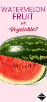 Where did such an opinion? Watermelon Fruit Or Vegetable Gardening Channel