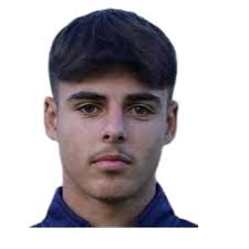 Profile Timucin Sanatci, Ludwigsfelder FC: Info, news, matches and  statistics