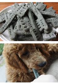 Make Greenies For Your Dogs Dog Treats That Help Your Pets Teeth Add A Tsp Of Bentonite Clay To The Dough Greenies Healthy Dog Treats Homemade Dog Treats