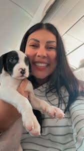 I am a tourist here in PR. On a trip today I saw a family of puppies at a  beach that could use help/rescuing. Is there someone I can let know their