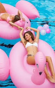 Which Beauty Trend Are You Flamingo Pool Float Pool Pool Floaties