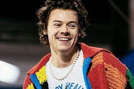 Harry styles' cardigan (aka, the tik tok cardigan). Harry Styles Cardigan Is Going Viral In A Diy Crochet Tiktok Trend Girlfriend