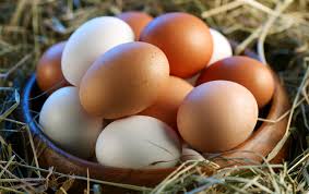 Resultado de imagen de huevo