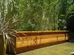 Buying a biodegradable bamboo toothbrush means there is one less plastic toothbrush floating around in the ocean or clogging up land fill, but they still need to be disposed of or composted properly for maximum environmental friendliness. Bamboo Containment Control Bamboo Sourcery Nursery Gardens