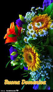 Cerca nel più grande indice di testi integrali mai esistito. Mazzo Di Fiori Colorato Buona Domenica Facciabuco Com