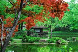Nice For Vowel Renewal Japanese Garden Dream Garden Garden Japanese