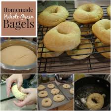 Homemade Bagels Recipe Food Recipes