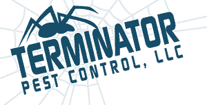 We apply our knowledge about different species to craft a custom. Home Terminator Pest Control Llc