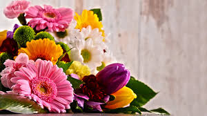 Maybe you would like to learn more about one of these? Florist Hortensia S Flower Shop Corona Ca