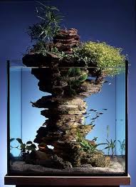 Simon S Aquascape Blog Indoor Water Garden Aquarium Design Aquarium Landscape