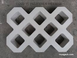 Gạch trồng cỏ 8LT - CÔNG TY PHÁT TRIỂN VIỆT NAM