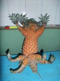 Weirdnessisgood Funny Vegetables Funny Fruit Weird Fruit