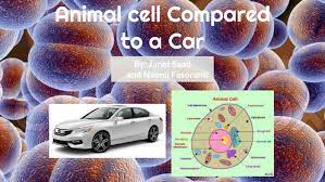 An engine is like a mitochondria, because it releases energy from fuel to power the cars activities, and the mitochondria powers the cell. Animal Cell Compared To Car By Naomi Fasoranti On Prezi Next