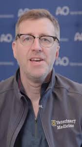 We're proud to have Michael Huo, MD and Timothy S. Brown, MD, as chairs of  our upcoming AO Recon—Principles of Total Hip and Knee Arthroplasty event  in Houston, Texas. Dr. Huo is