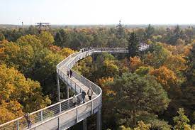 Siehe auch > blog artikel vom. Baumkronenpfad Beelitz Heilstatten Treetop Walkway