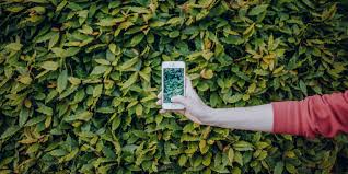 20 Creative Instagram Story Ideas To Engage Your Followers Turning my dreams into my vision and my vision into reality. 20 creative instagram story ideas to