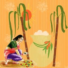 *let the warmth of the auspicious festival of pongal fill your home with joy. Pongal Festival Wikipedia