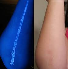 Pin On Potterhead For Life