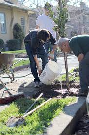 Tree Care Watering Your New Tree Our City Forest