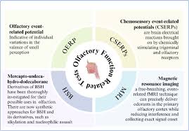 Image result for Drug-Induced Olfactory Dysfunction